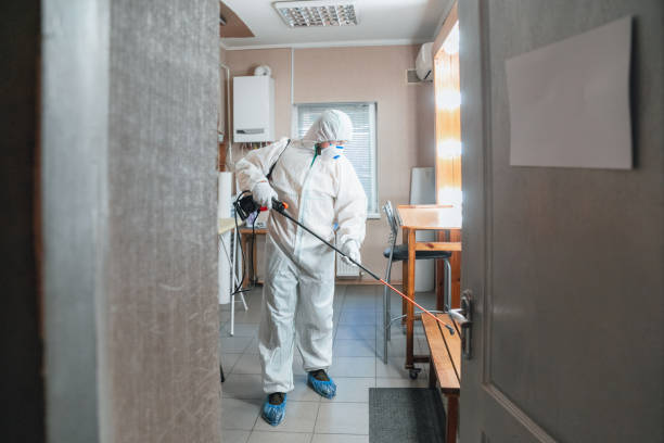  London, KY Mold Removal Pros