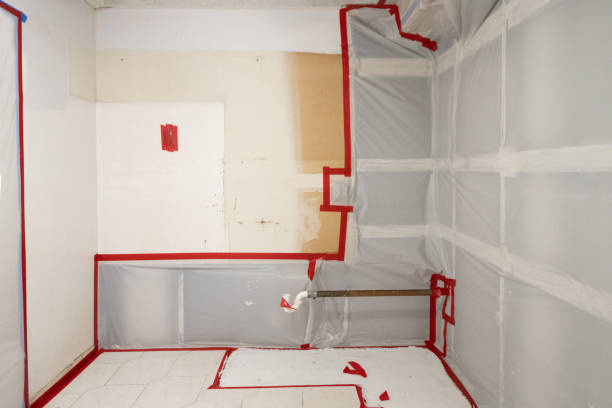 Trusted London, KY Mold Removal Experts