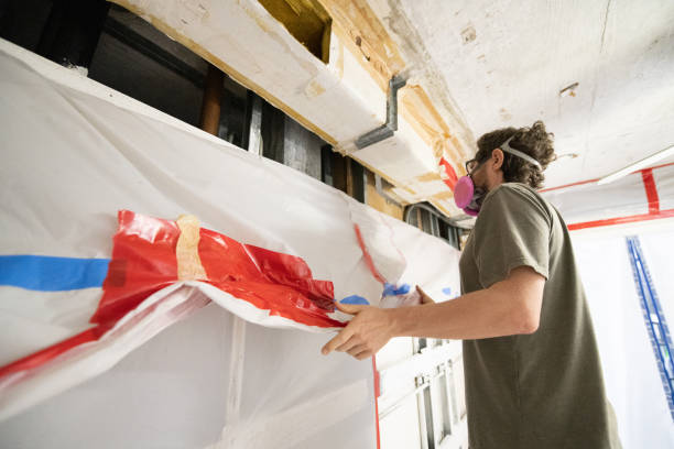 Best Commercial Mold Inspection  in London, KY