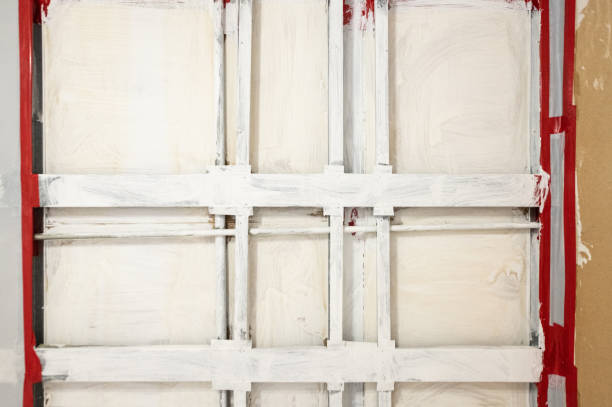 Best Black Mold Removal  in London, KY