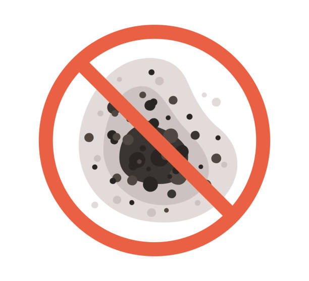Best Emergency Mold Remediation  in London, KY
