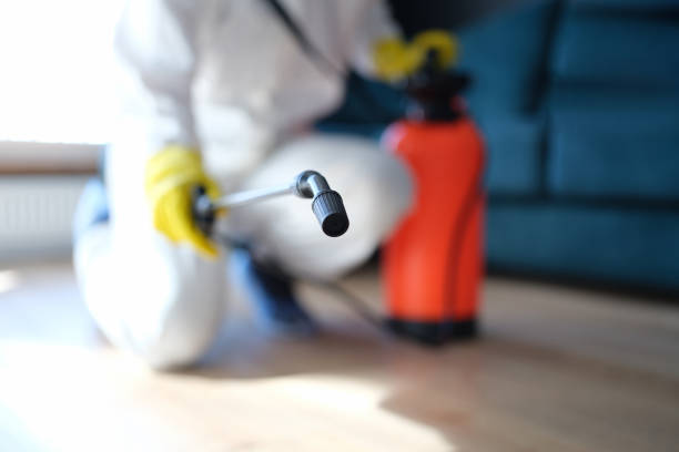 Best Post-Construction Mold Inspection  in London, KY