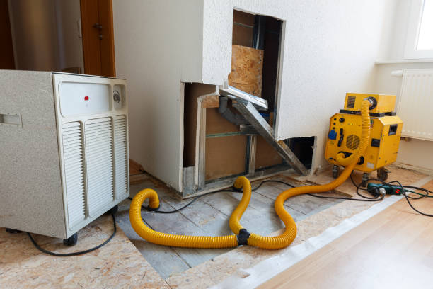 Best Airborne Mold Testing  in London, KY