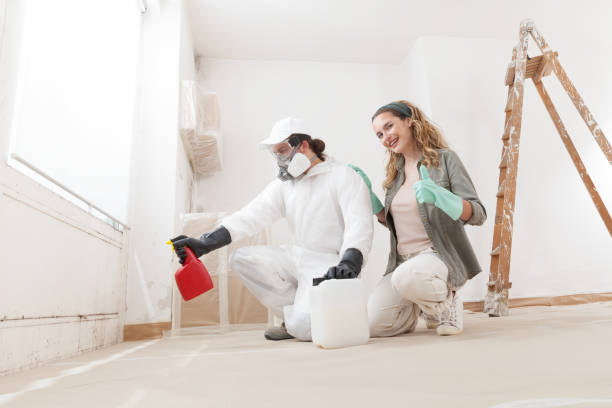 Best Industrial Mold Remediation  in London, KY